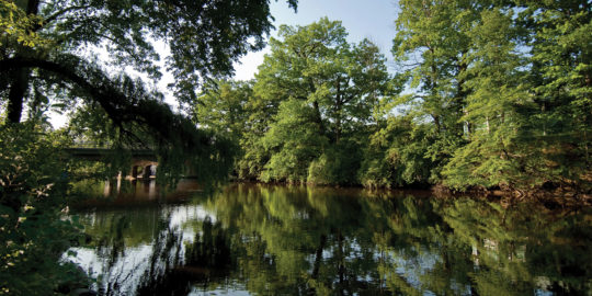 Read more about the article MSU Receives $160,000 in HWW Global Midwest Grants