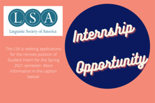 Read more about the article INTERNSHIP OPPORTUNITY with the Linguistic Society of America.