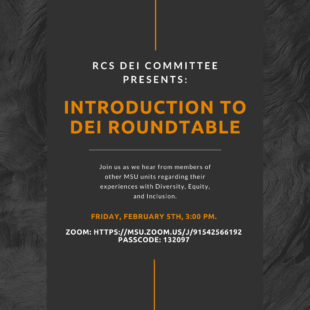 RCS DEI Committee Presents: Introduction to DEI Roundtable